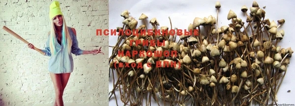 марки nbome Алексеевка