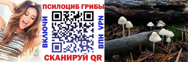 Псилоцибиновые грибы мухоморы  Анива 